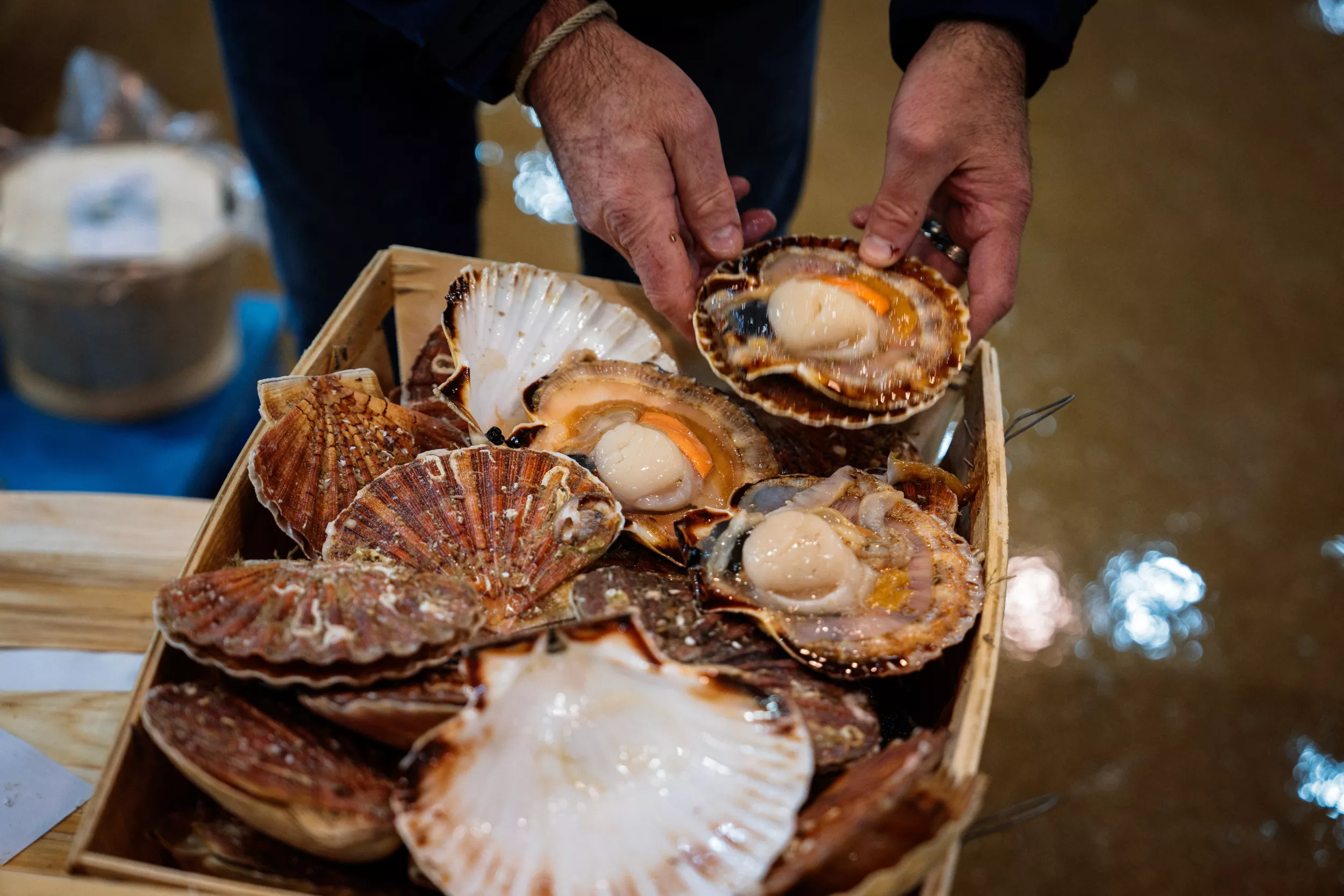 Seafood Recall as Warning Over Fears of Toxic Contamination - Vimarsana News