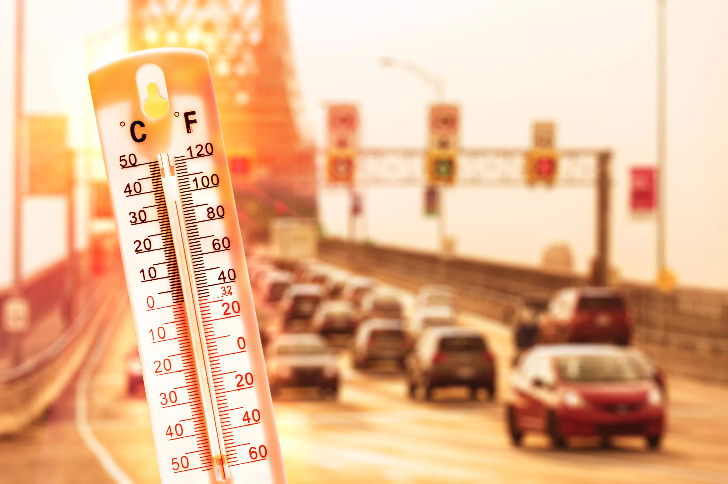 Earth 'Scorching' as 2023 Was Hottest Year on Record - Vimarsana News