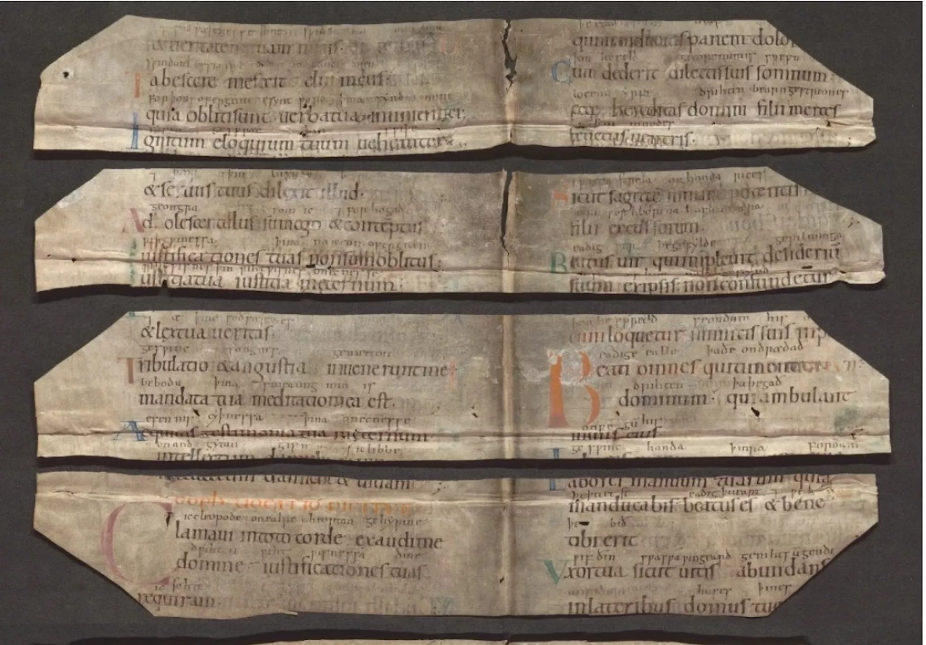Refugee Princess's Lost Book of Psalms Believed Found After Centuries - Vimarsana News