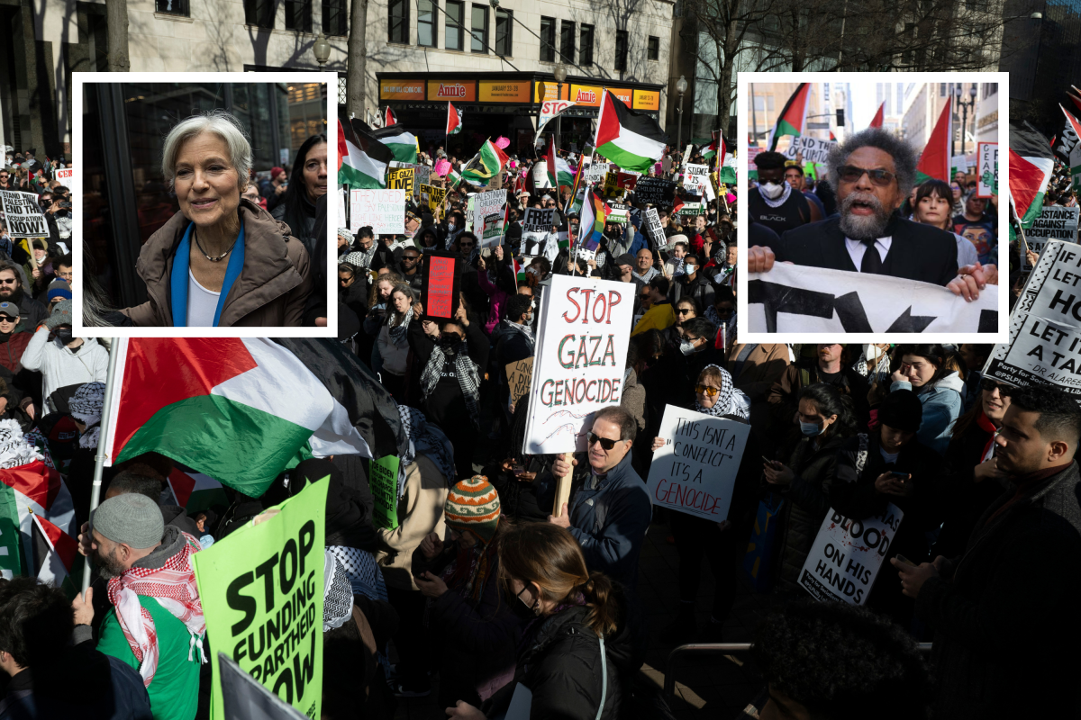 Jill Stein and Cornel West