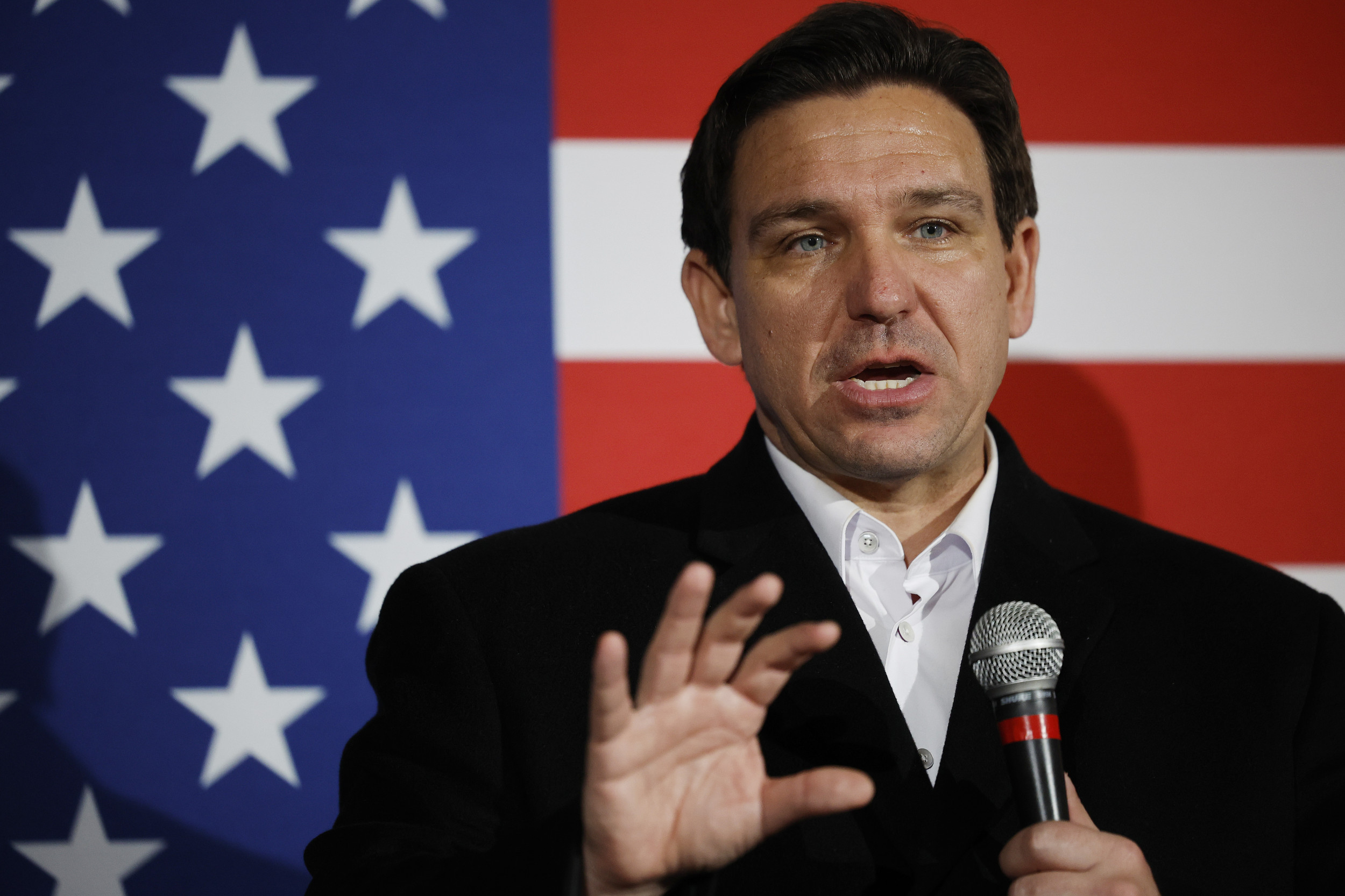 Top 10 Reasons to Vote for Ron DeSantis, Not Donald Trump or Nikki ...