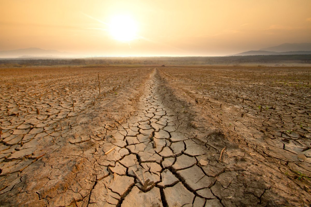 sécheresse liée au changement climatique