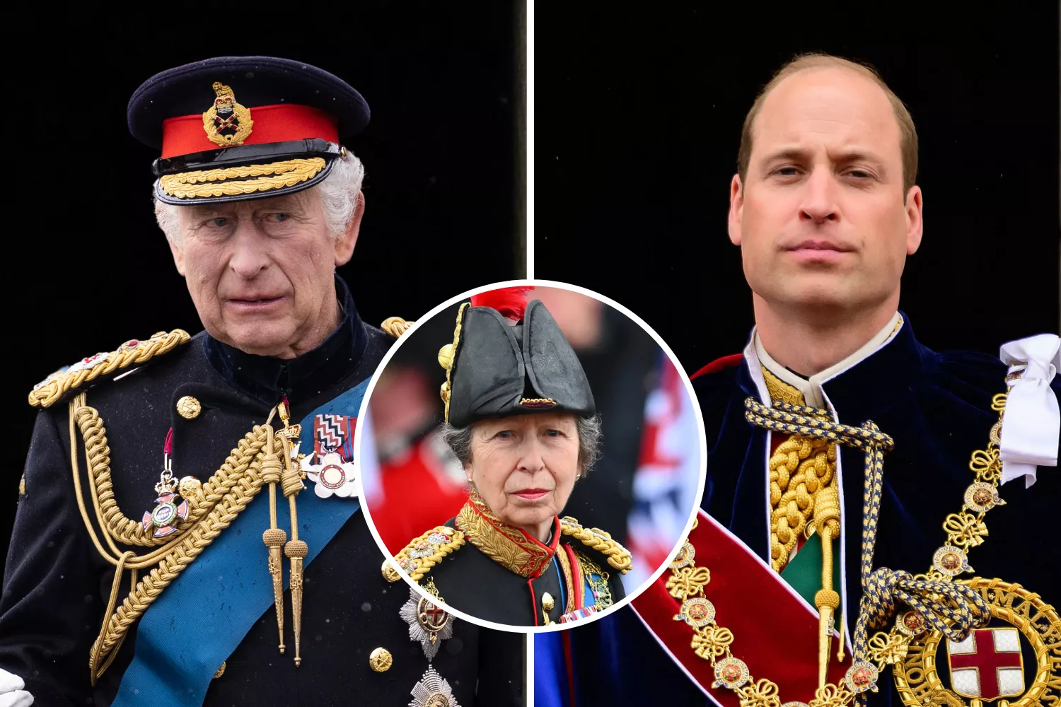King Charles' Sister Breaks Silence On Calls For William To Be King
