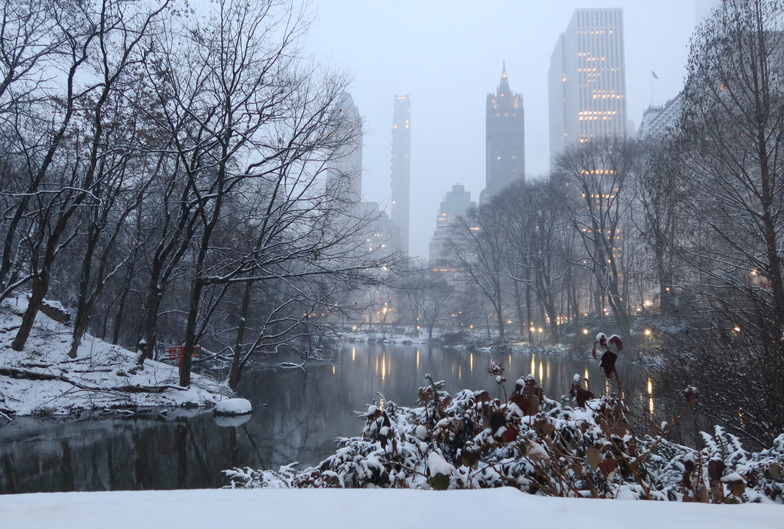 Snow Map Shows States to Be Affected During Arctic Blast