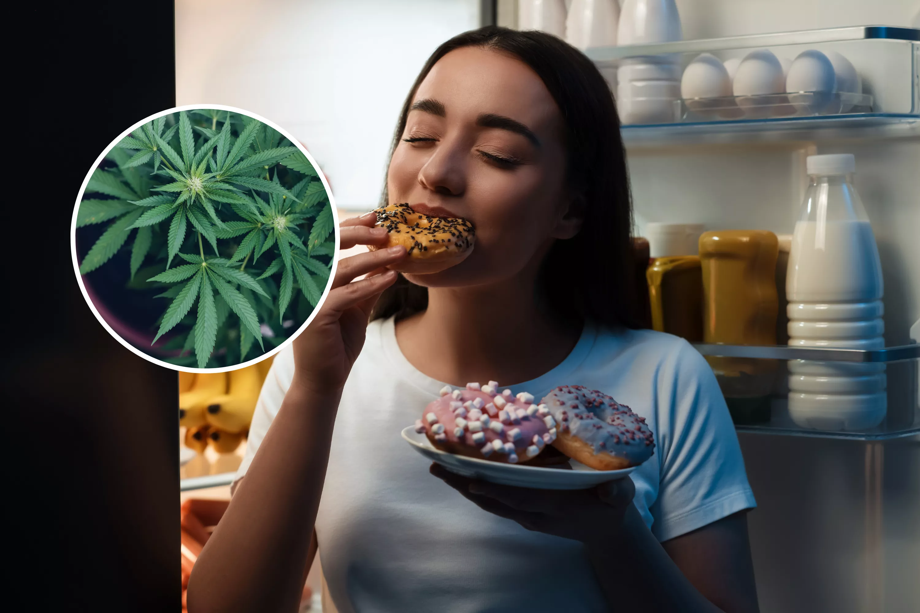 Scientists Reveal Why Marijuana Gives You the Munchies - Vimarsana News