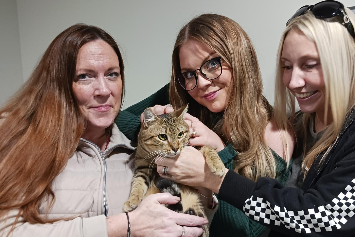 Cat With Leukemia Adopted by Teenager Who Beat Disease as a Child ...