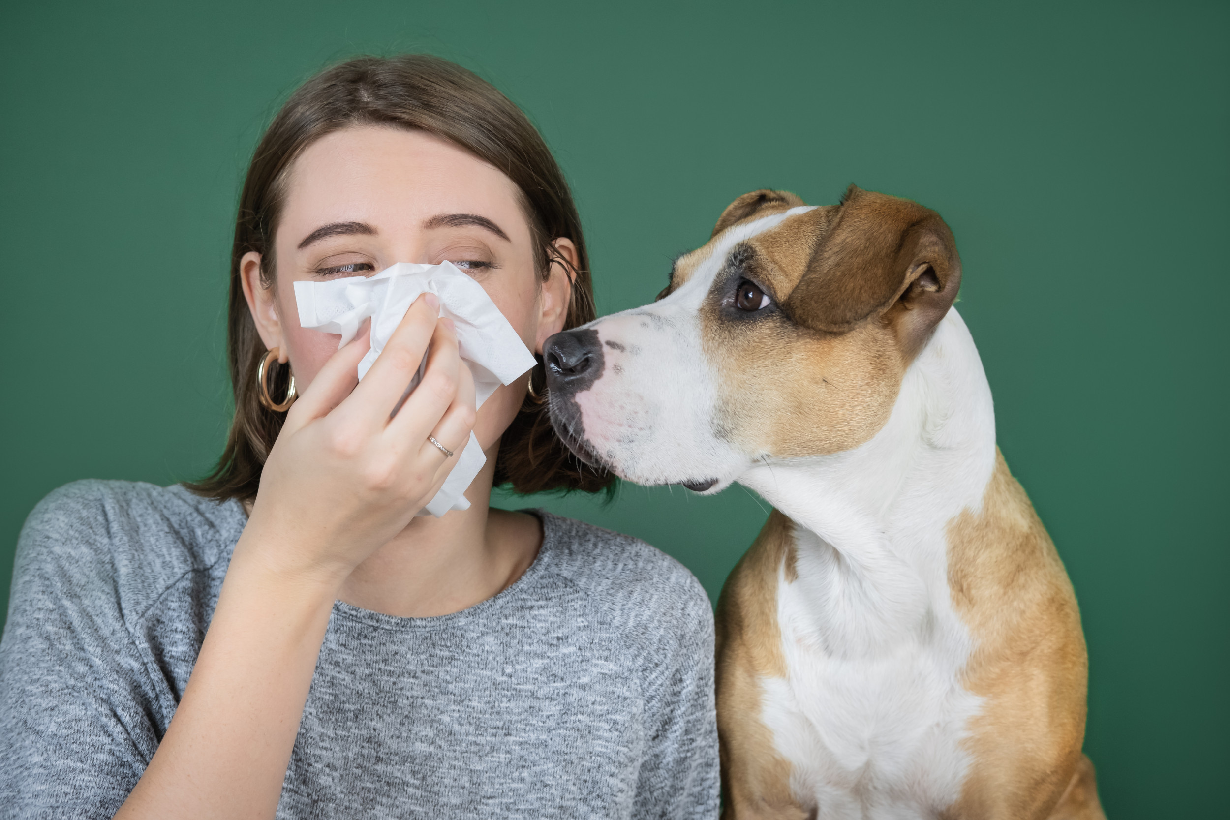 Cats and Dogs More Susceptible to Human Illnesses Than Scientists Thought