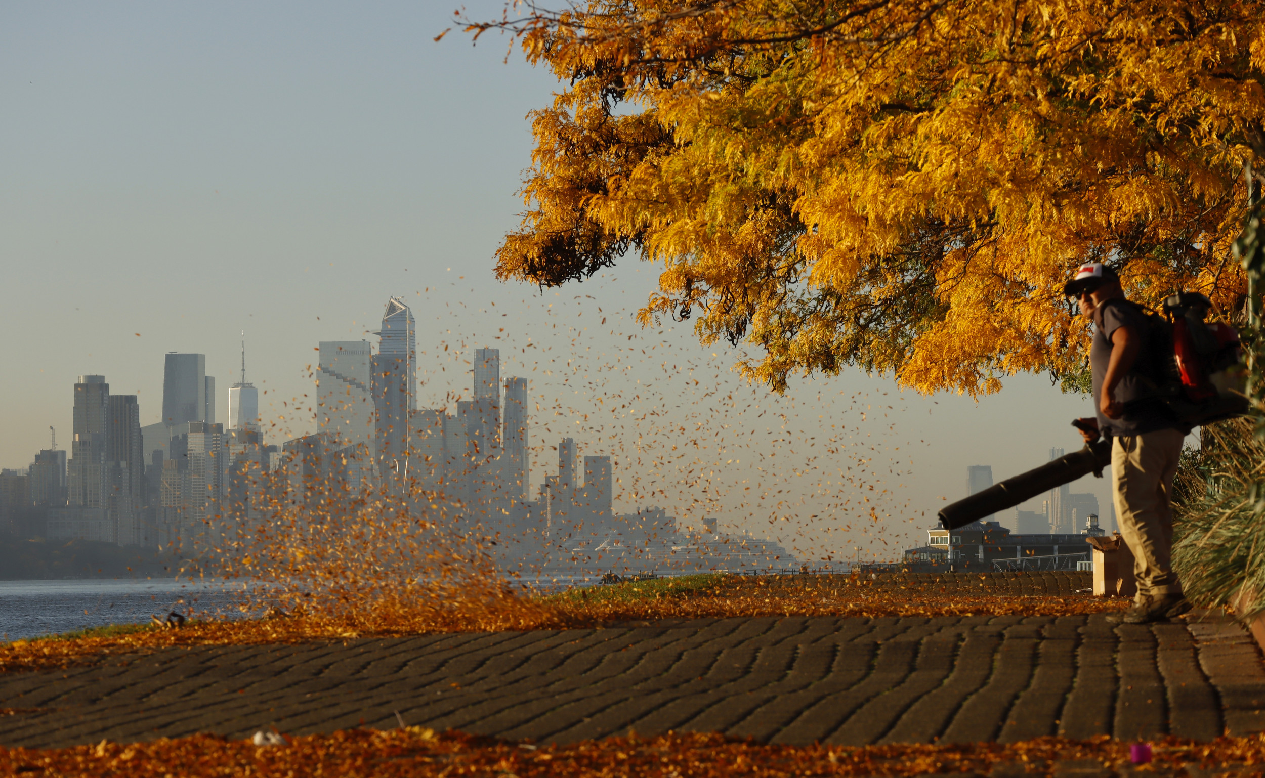 New Jersey Town Bans Gas Leaf BlowersMiddle East