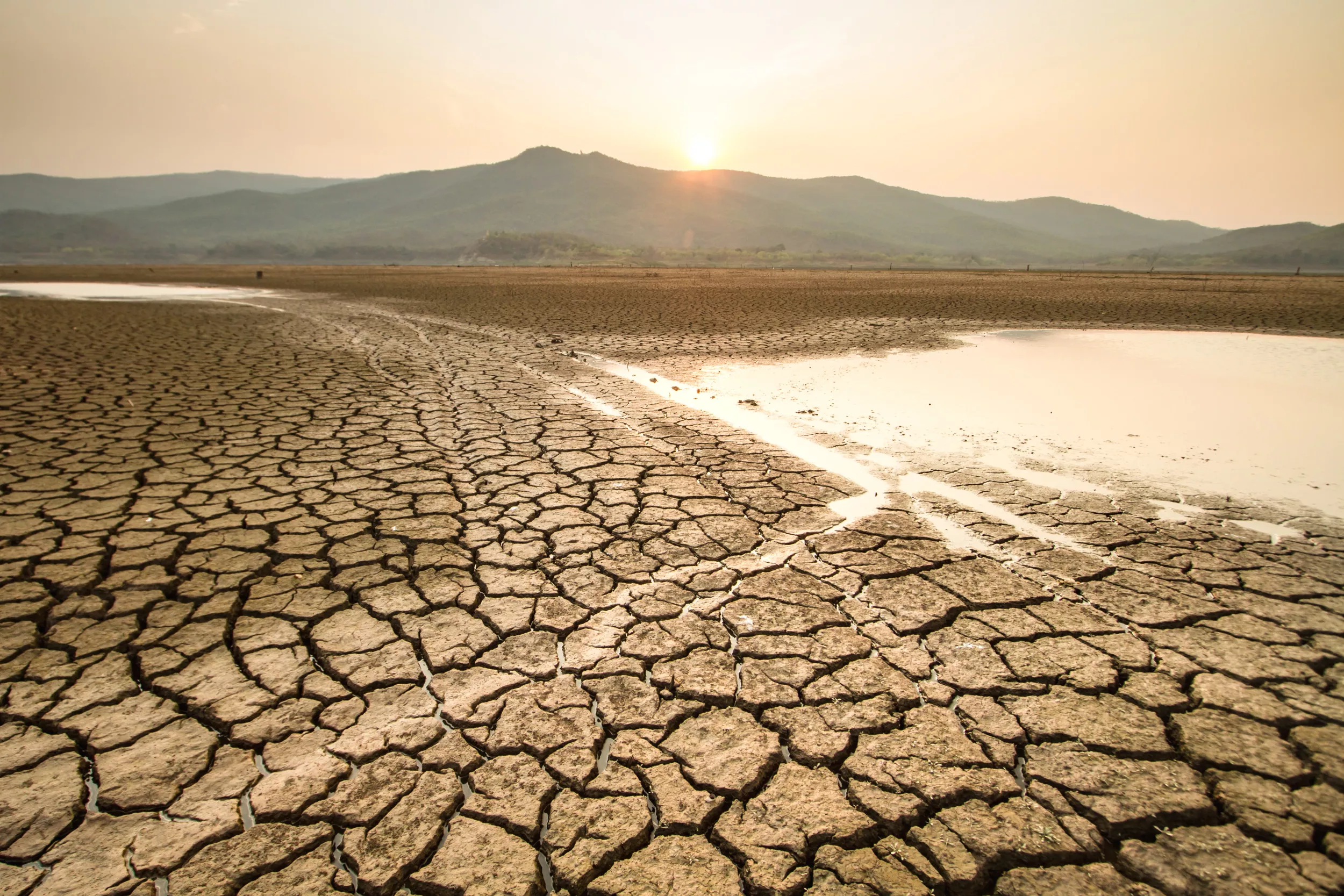 Western US Seeing Extreme Weather 'Unprecedented' in 500 Years - Vimarsana News