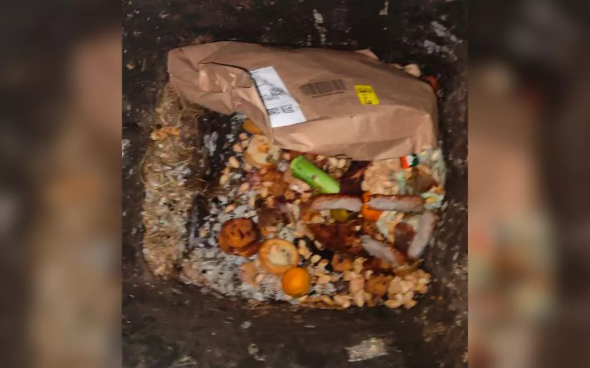 Amazon Customer Left 'Retching' After Discovering Where Parcel Was Left - Vimarsana News