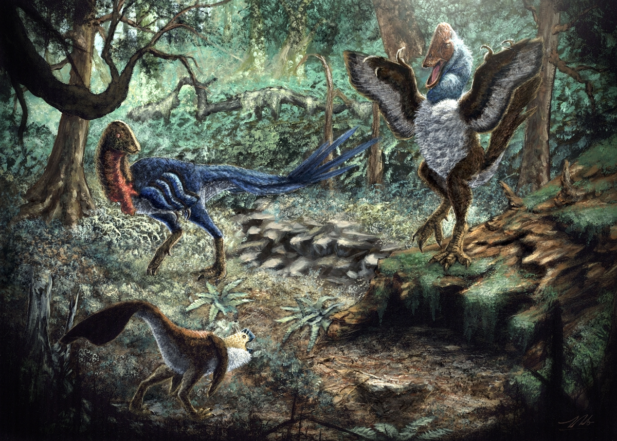 Oviraptorosaur dinosaurs from the Hell Creek Formation