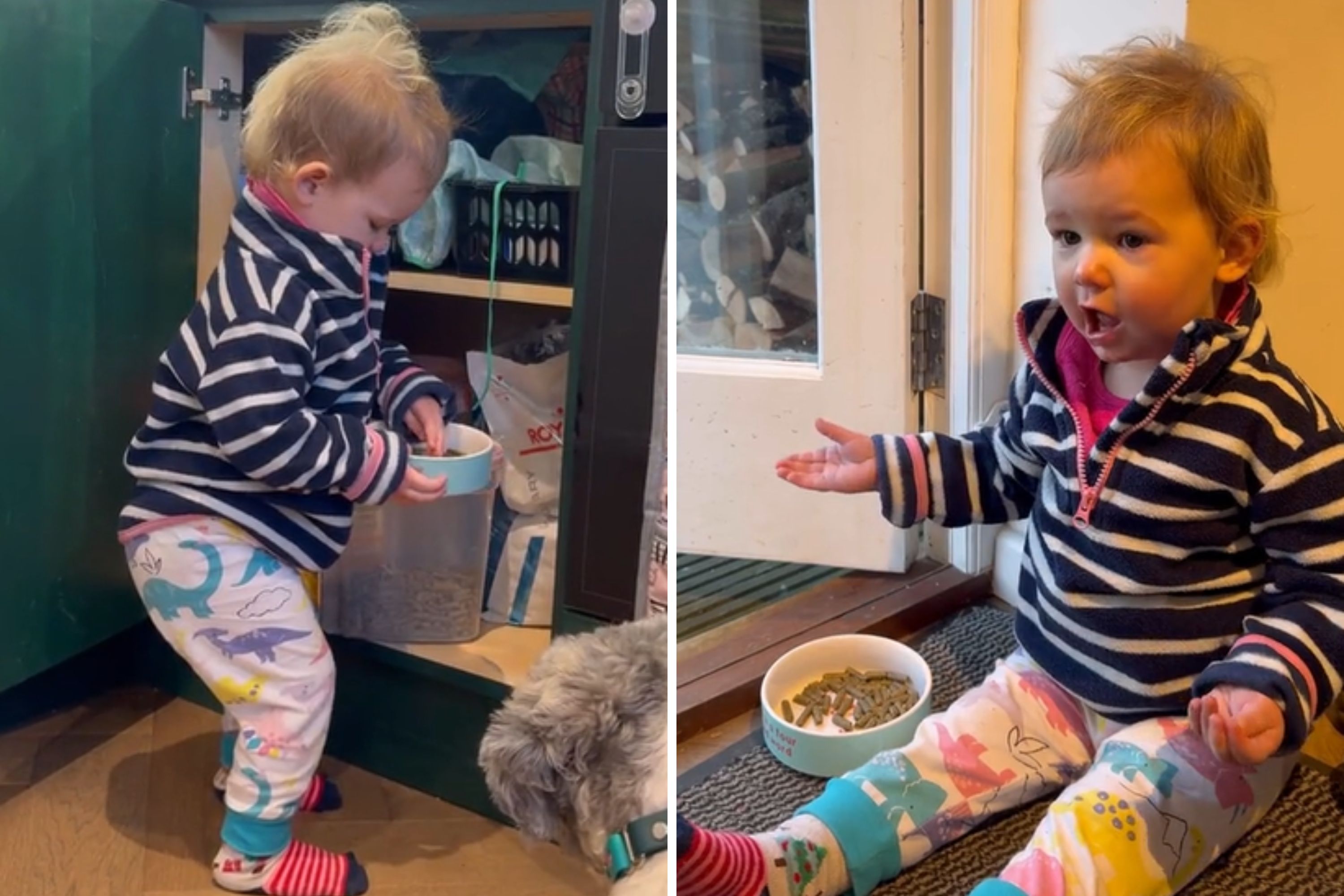 Toddler Still Gets Breakfast Ready Every Day for Pet Who Passed Away