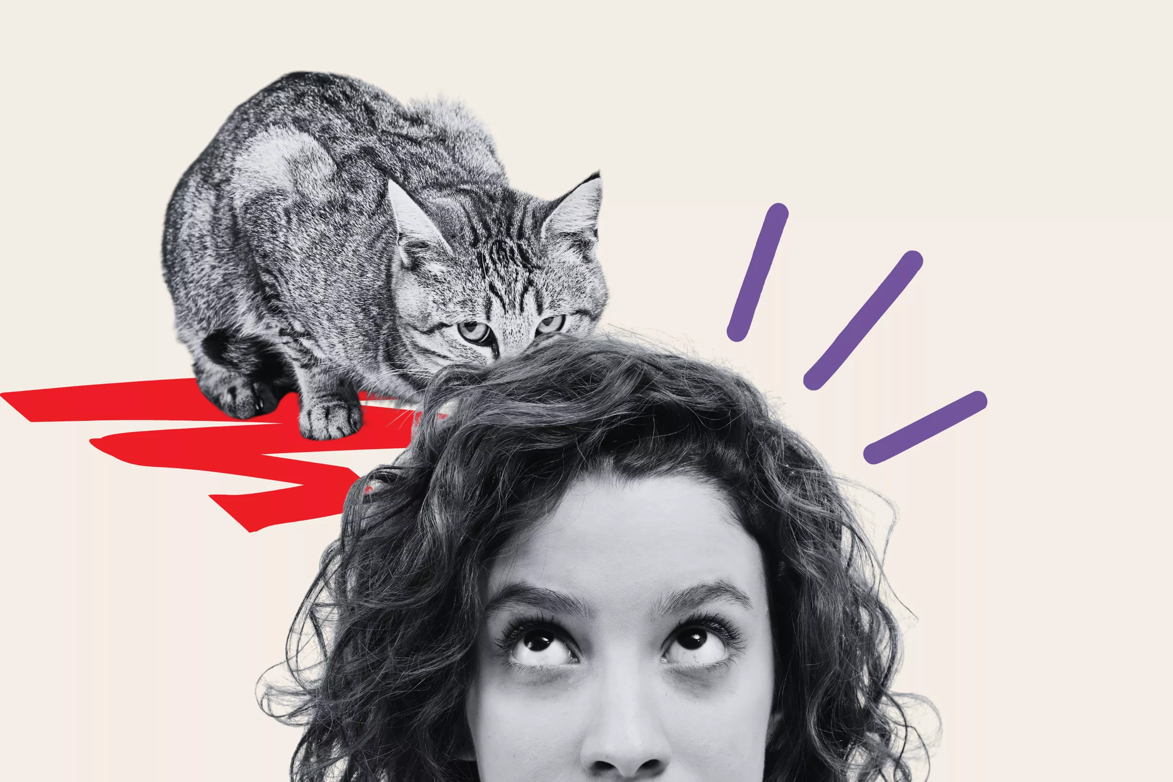 Shocking Moment Cat Gives Owner's Hair 'a Little Snip' - Vimarsana News