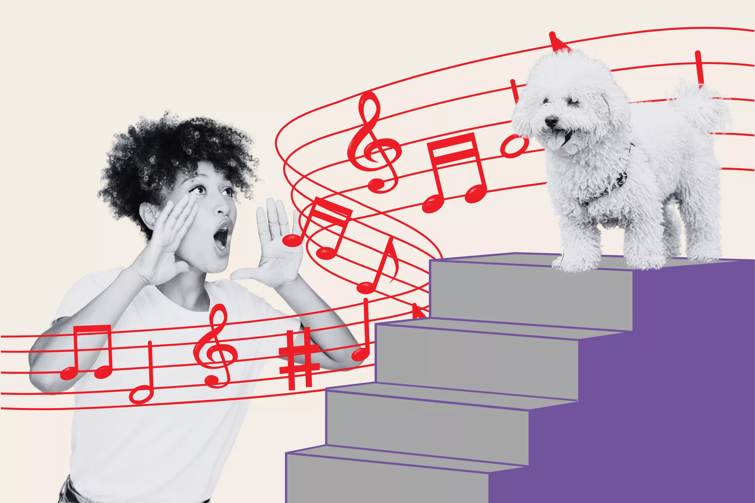 Golden Doodle Who Only Goes Downstairs to 'Theme Tune' Delights Internet - Vimarsana News
