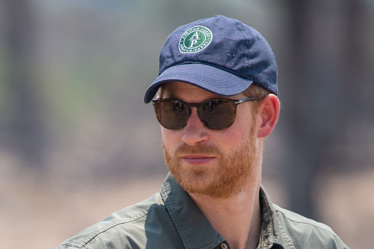 Prince Harry Working With African Parks
