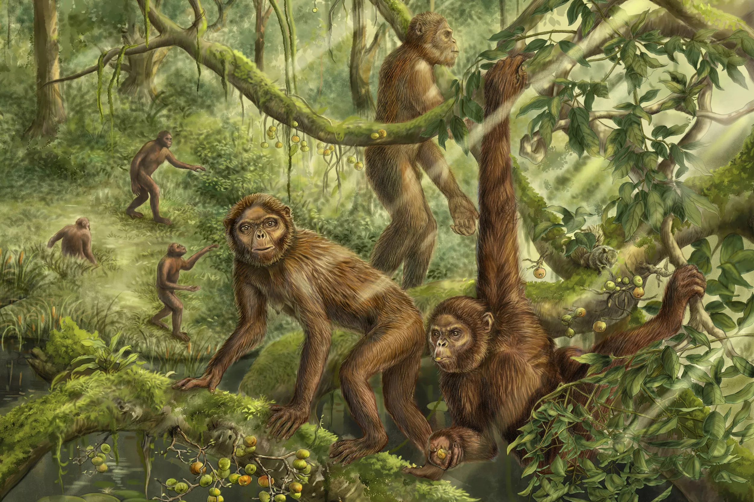 Scientists Shine Light on How Humans First Learned to Walk Upright - Vimarsana News