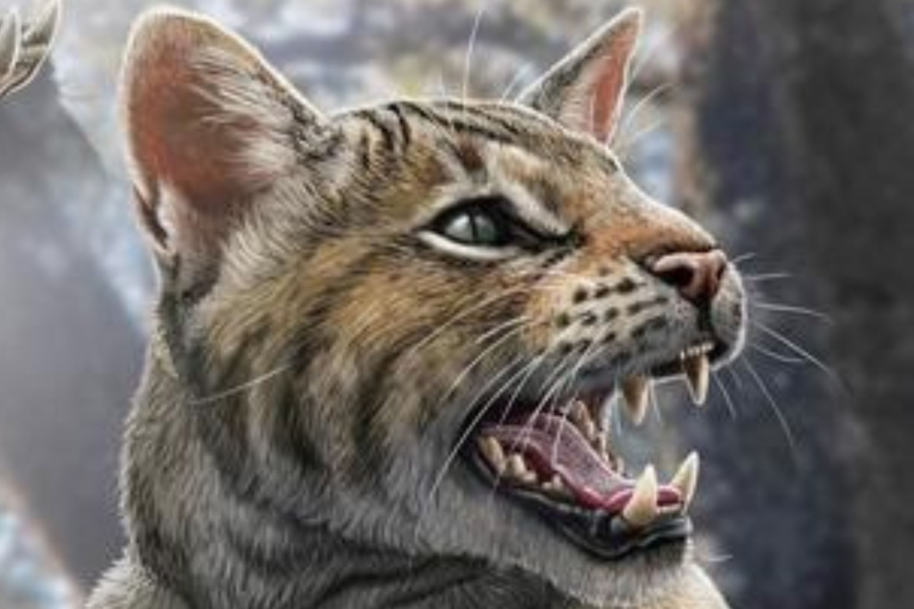 New Species of Prehistoric Cat Discovered With 'Powerful Bite' - Newsweek