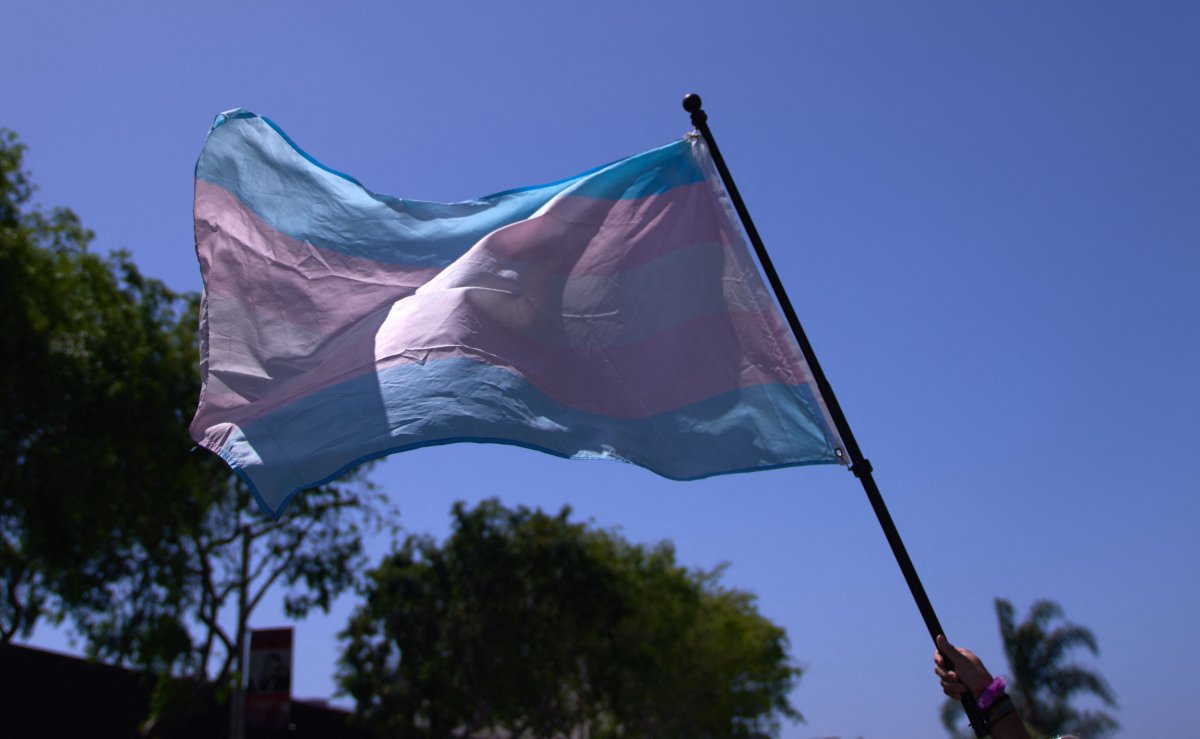 A transgender flag is held above crowd