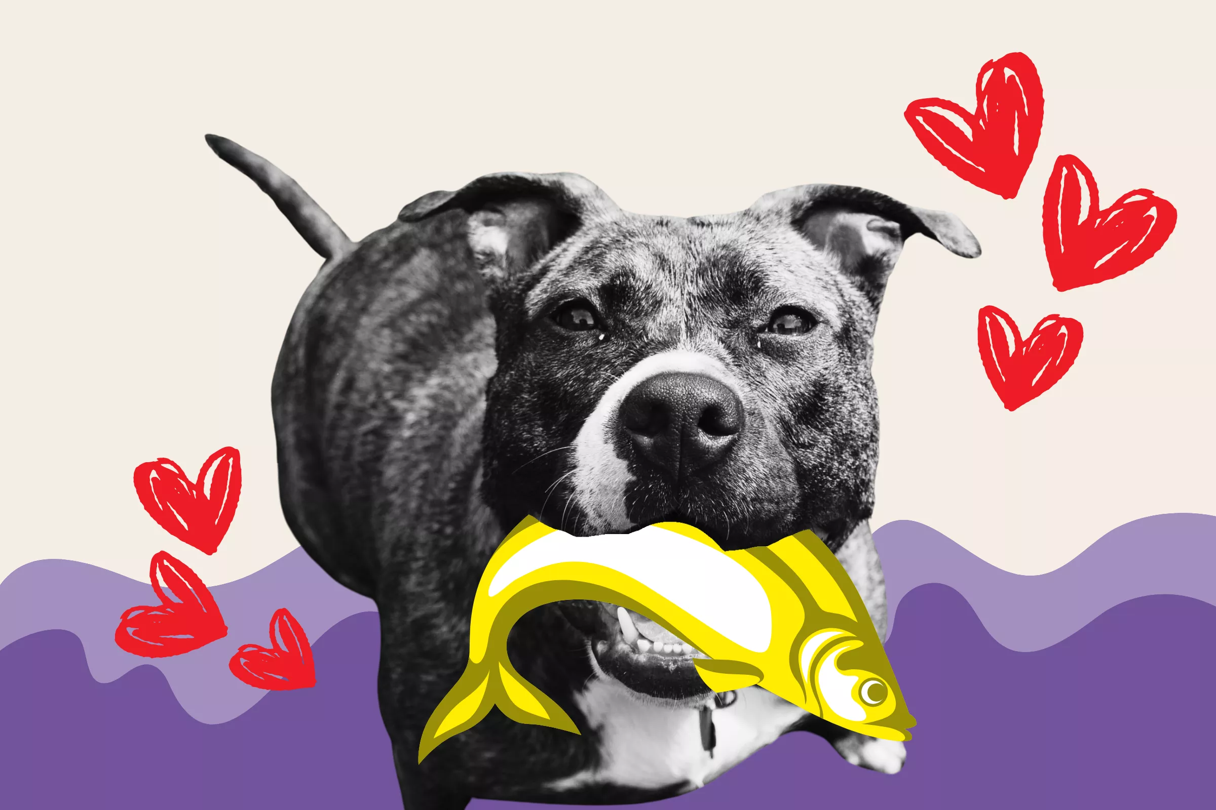 Woman Rescues 'Abused' Pit Bull, Isn't Prepared for Her Incredible Talent - Vimarsana News