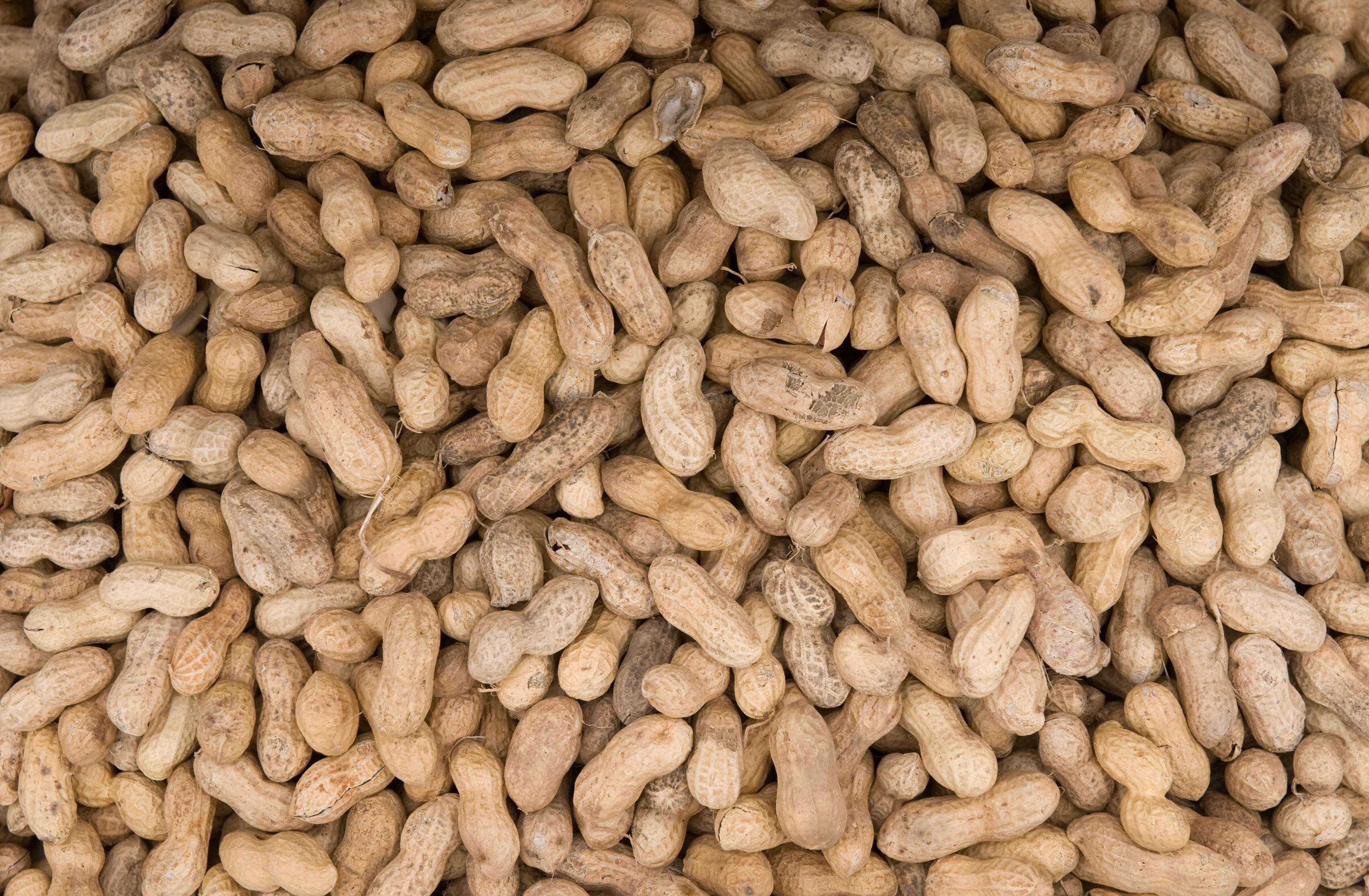 Ice Cream Recall as Potential Life-Threatening Warning Issued