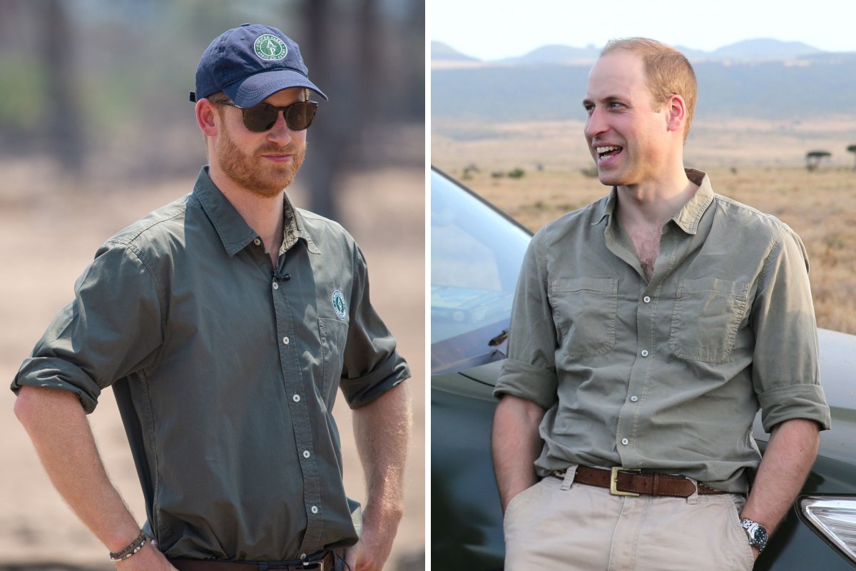 Prince Harry, Prince William During Conservation Projects