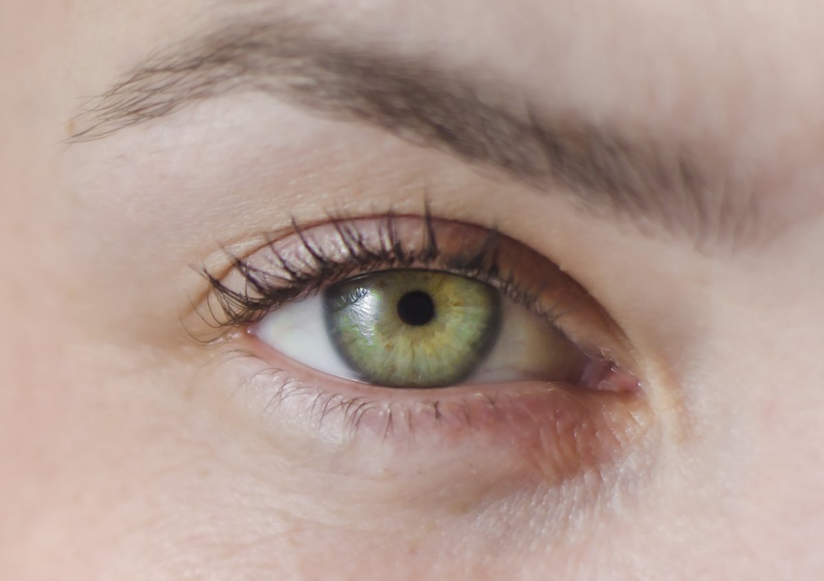 A close-up on a green eye. 