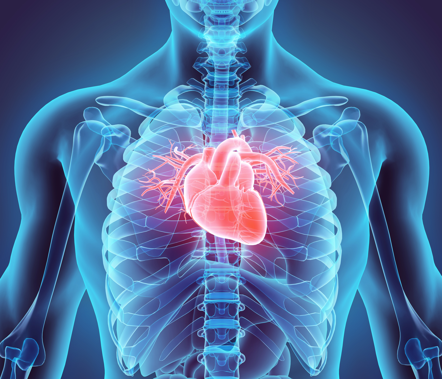 Harvard Cardiologist Reveals His Daily Habits for a Healthy Heart