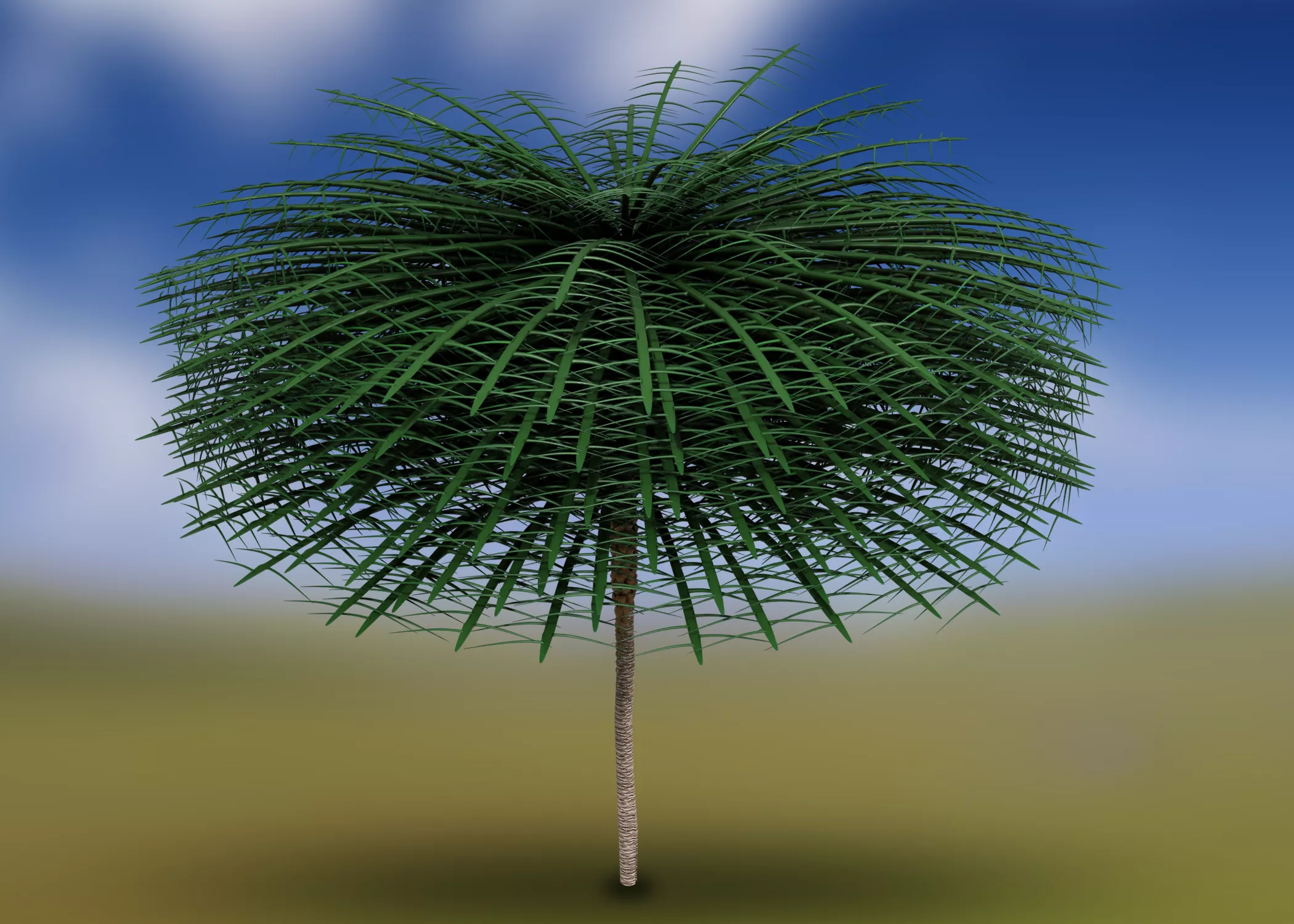 Rare Fossils Reveal 'Absolutely Unique' Tree From 350 Million Years Ago - Vimarsana News