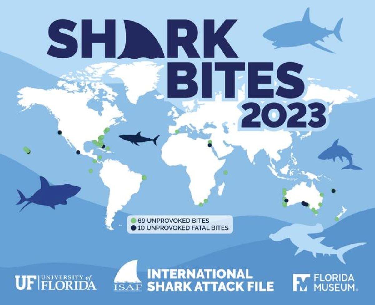 Shark bites 2023
