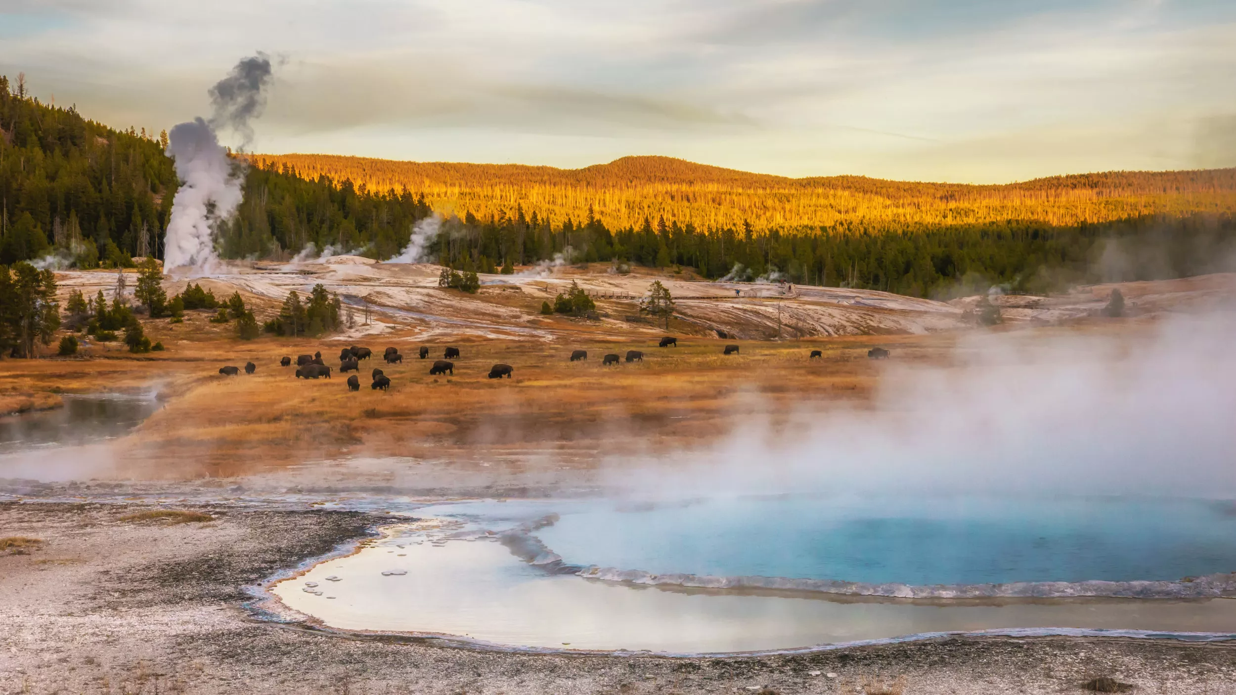 Yellowstone Emits As Much Carbon Dioxide as an Erupting Volcano - Vimarsana News