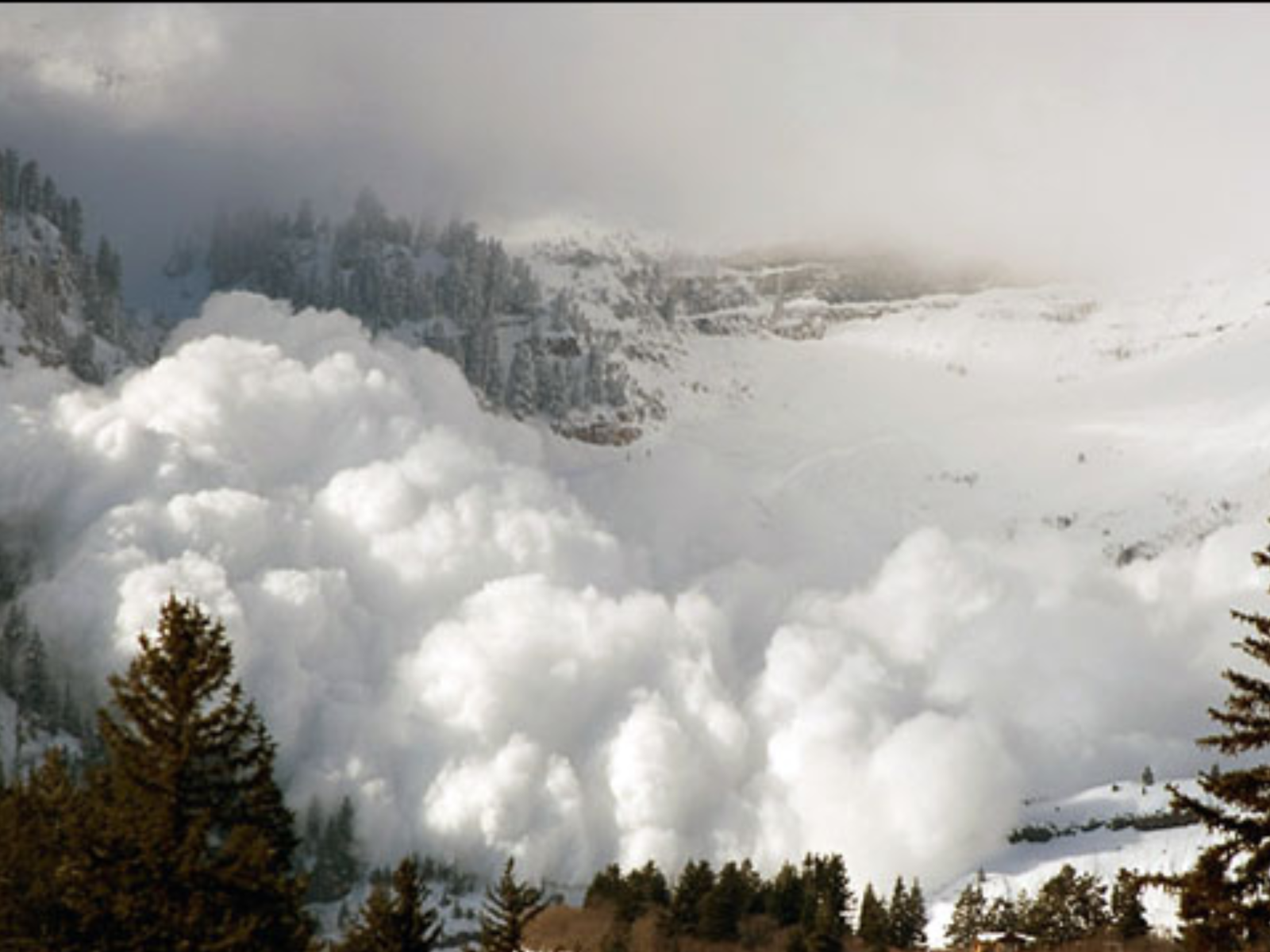 Rn sales 2018 avalia莽茫o