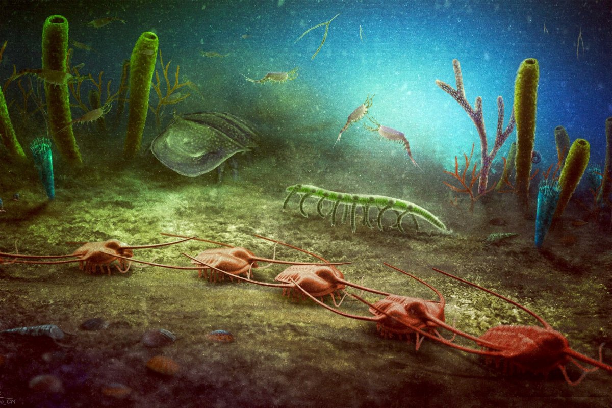 Artistic reconstruction of prehistoric organisms