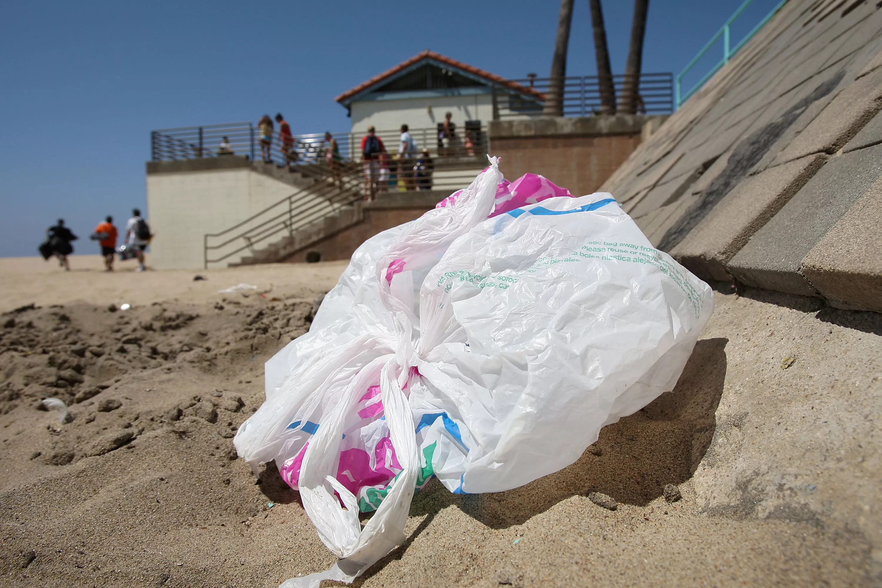 California Bill for Total Ban on Plastic Bags Slammed as 'Overreach' - Vimarsana News