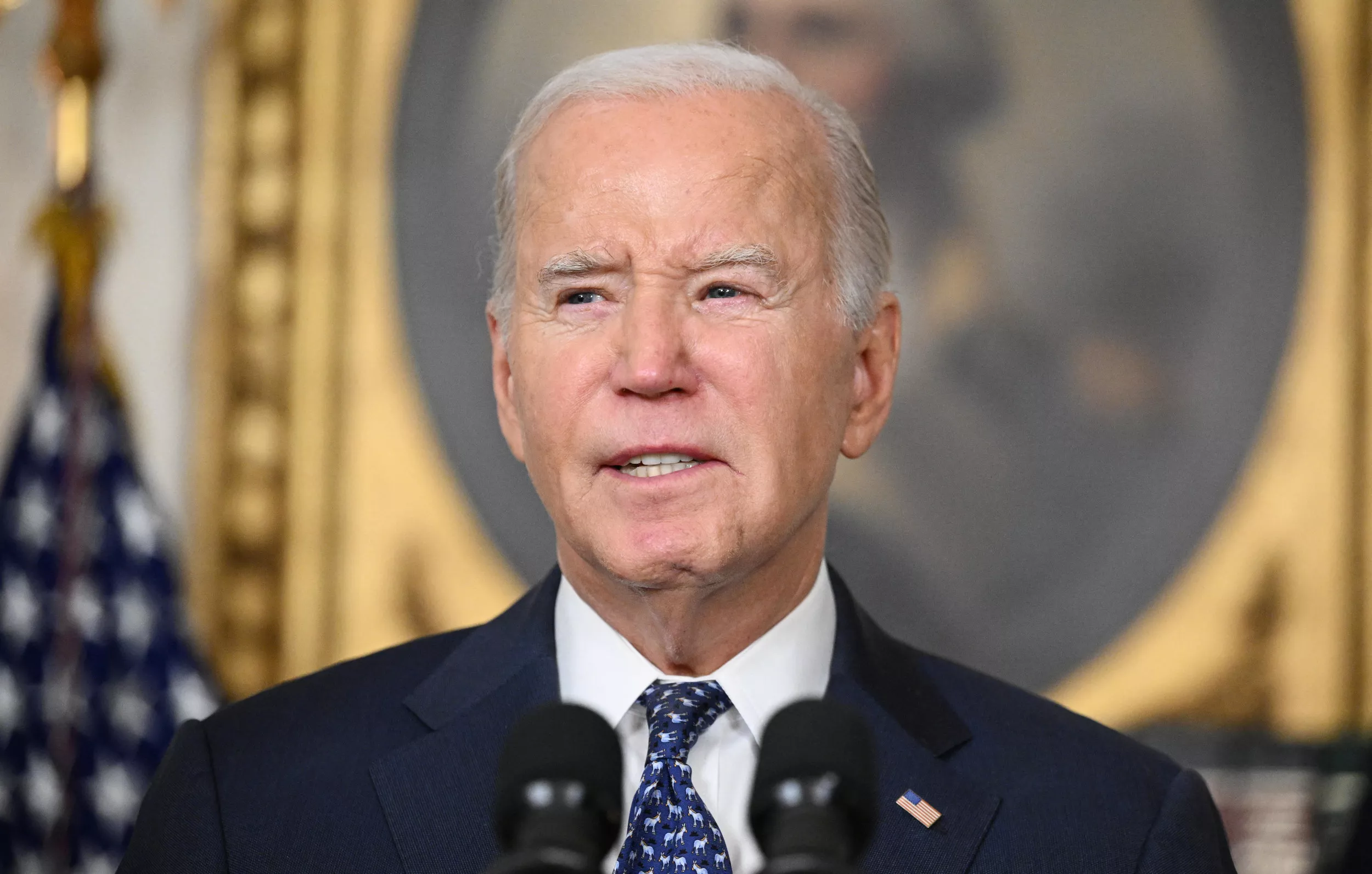 Joe Biden's Reelection Odds Plunge After Bruising Special Counsel Report - Vimarsana News