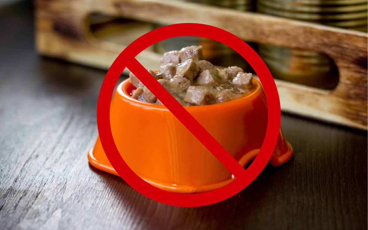 Cat and Dog Food Recalled Over Salmonella Risk to Both Pets and People
