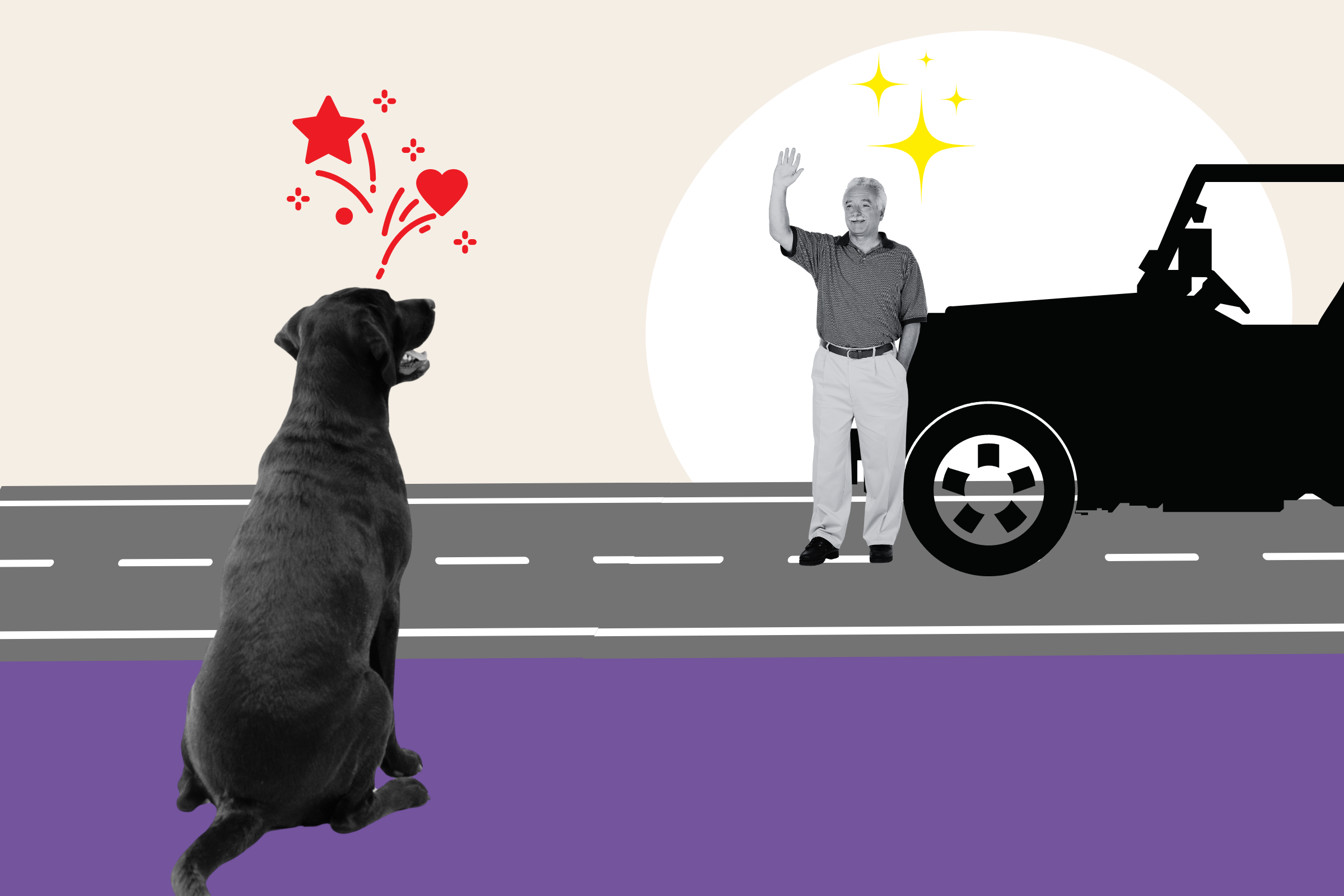 Moment Dog Realizes Grandpa Is Picking Him Up for Weekly Sleepover