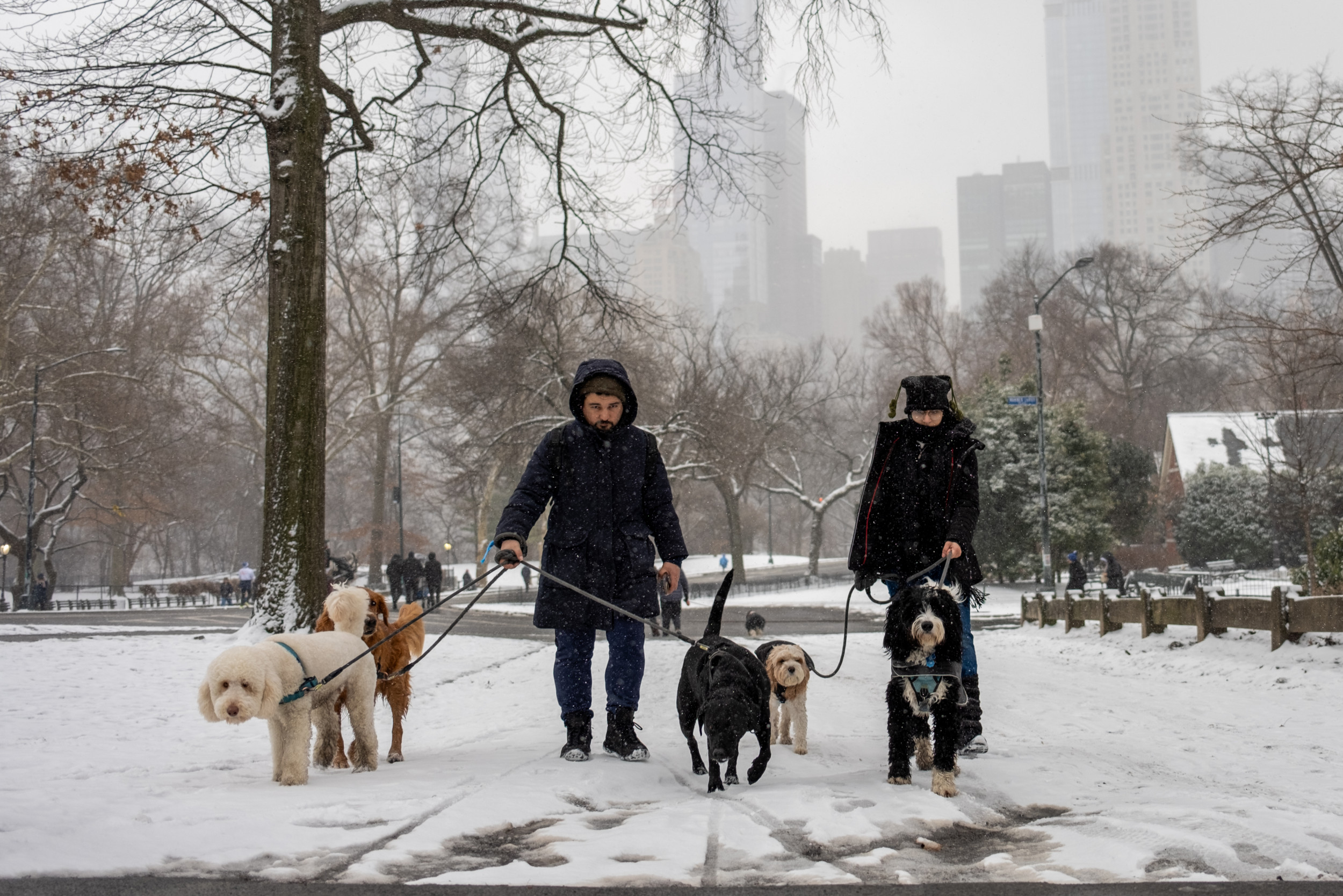 Winter Storm Warning for Millions With 8 Inches of Snow To Hit New York