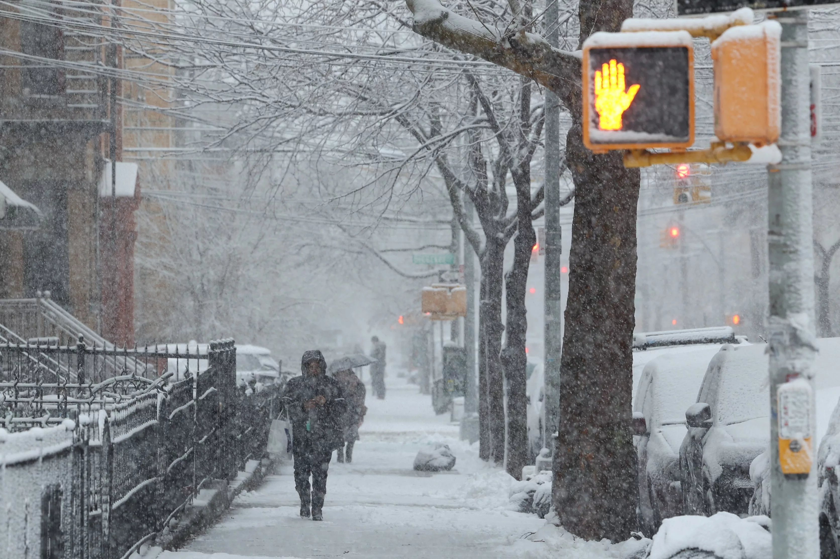 New York May Finally Break Hawaii's Snowfall Record - Vimarsana News