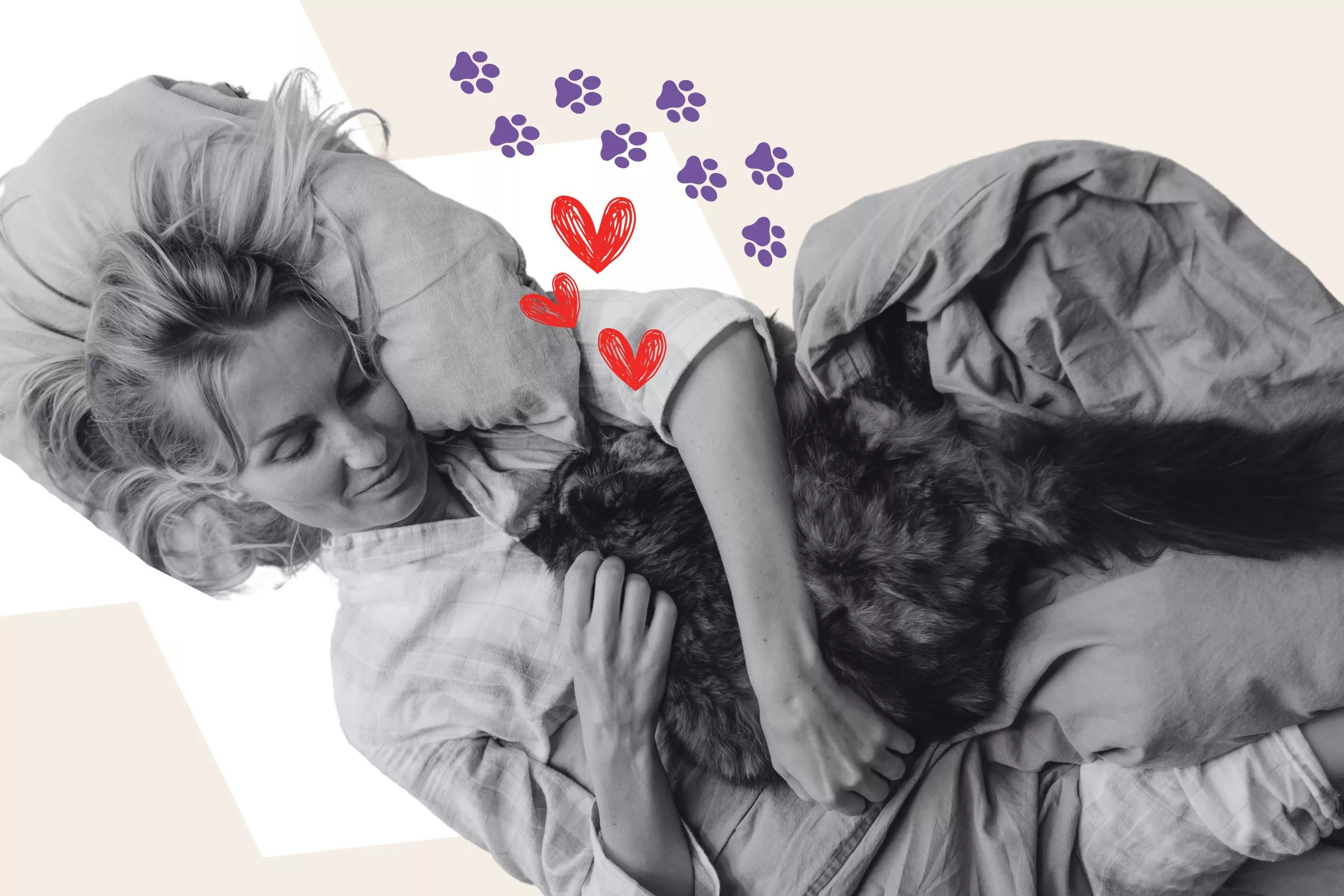 Cat Owner Wakes Up at 3 AM, Not Prepared for What She Sees - Vimarsana News