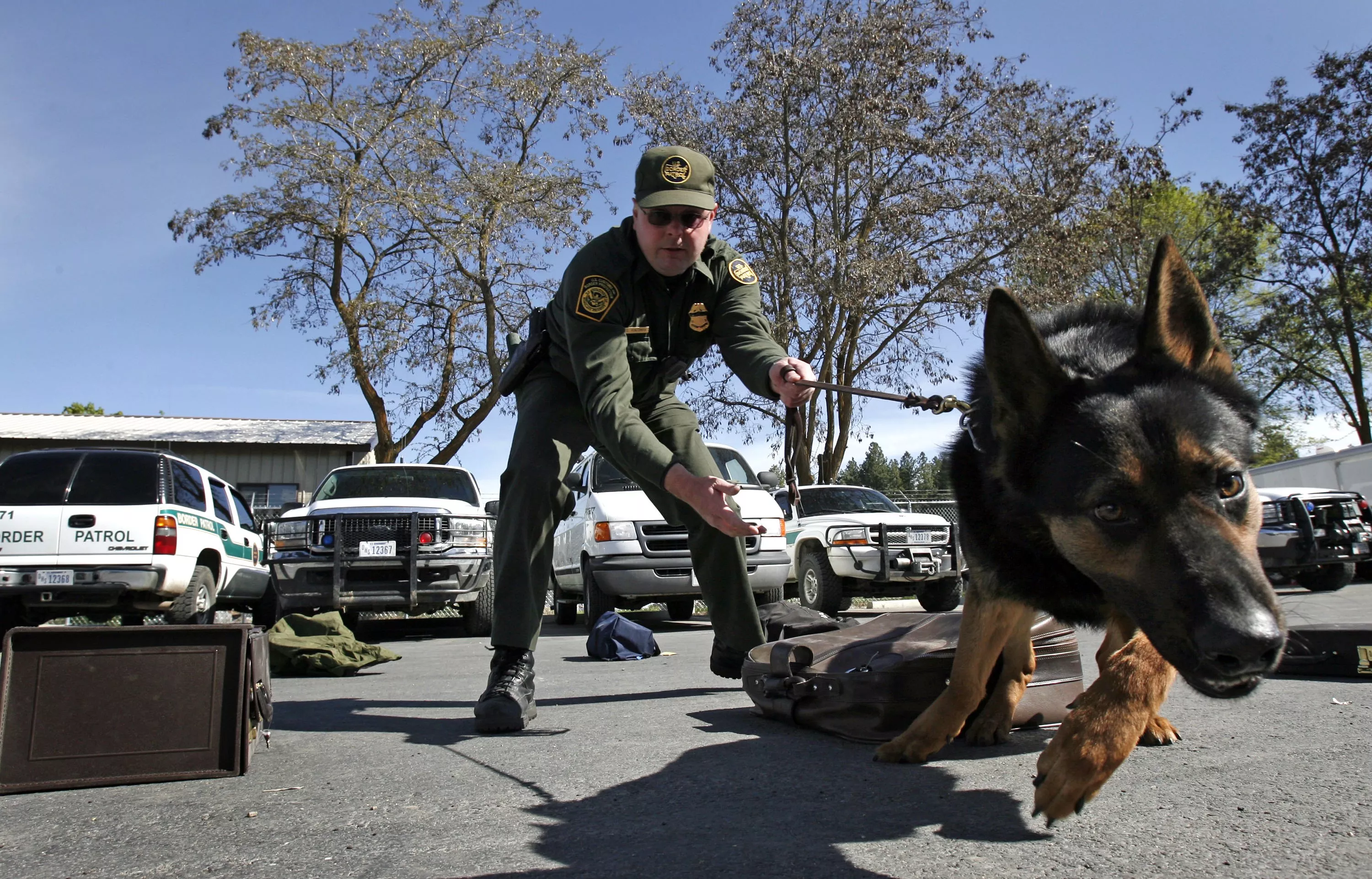 Homeland Security Massively Ramps Up Police Dogs at Border - Vimarsana News
