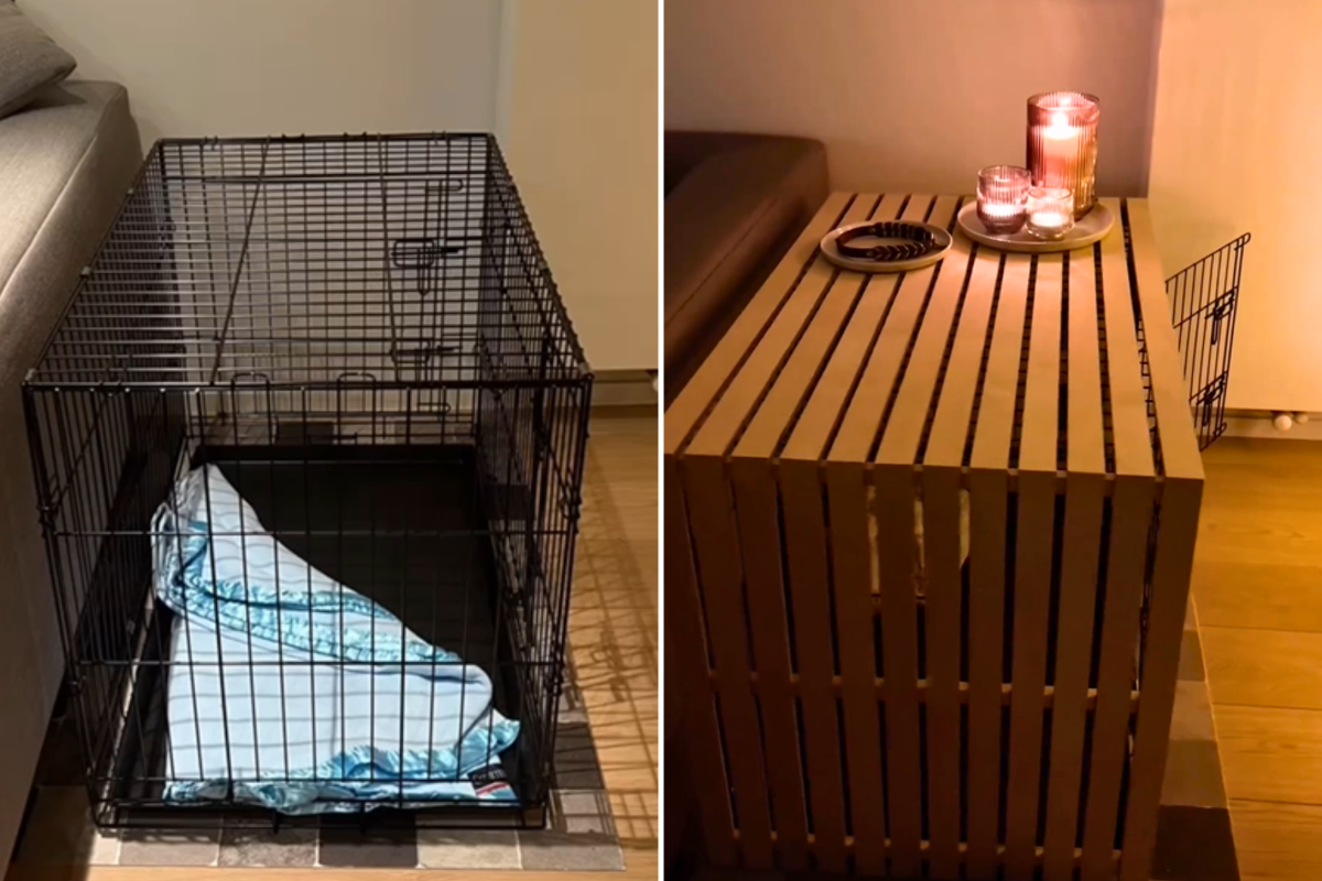 Dog crate before and after