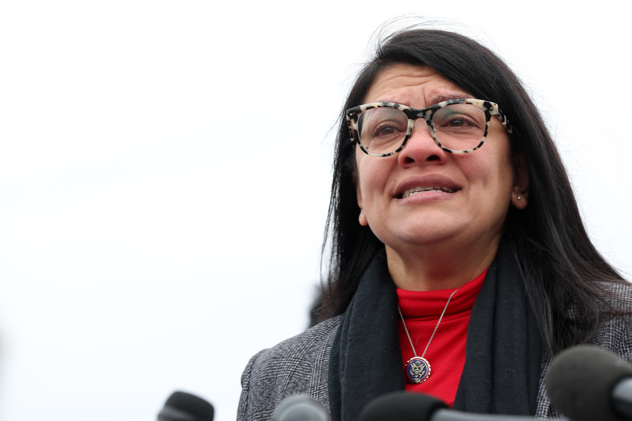 Rashida Tlaib Blasted Over Hamas Rape Vote: 'Absolute Sicko' - Newsweek