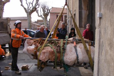 dinosaur bone excavtion