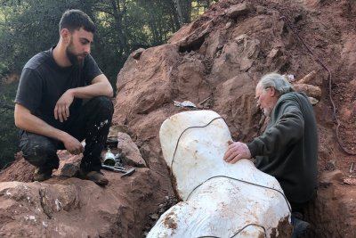 dinosaur bone excavtion dinosaur bone excavtion
