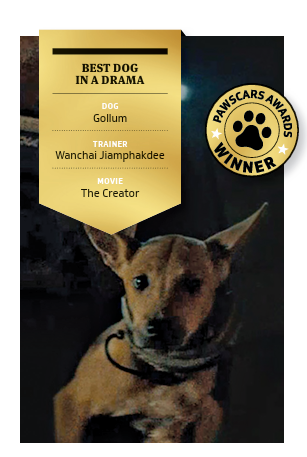 Dog Film Actors Recognized In 2024 PAWSCARS Awards A Lot Of Magic   Cul01 Dog Awards 09 