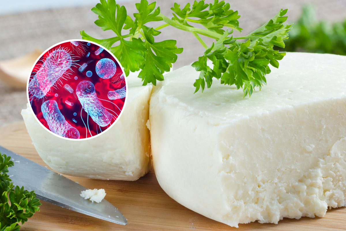 Cotija cheese listeria outbreak