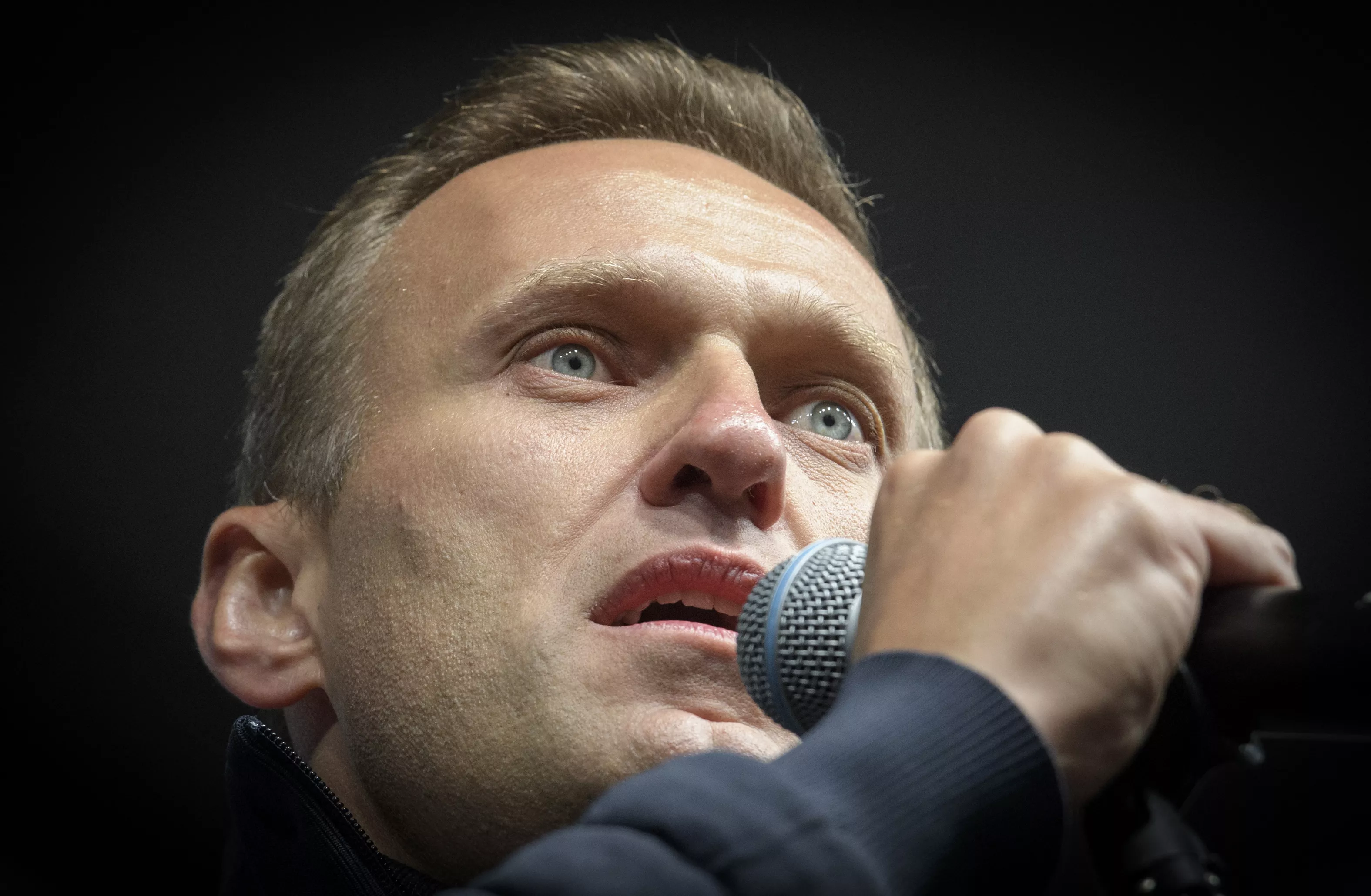 Putin Must Be Stopped - Vimarsana News