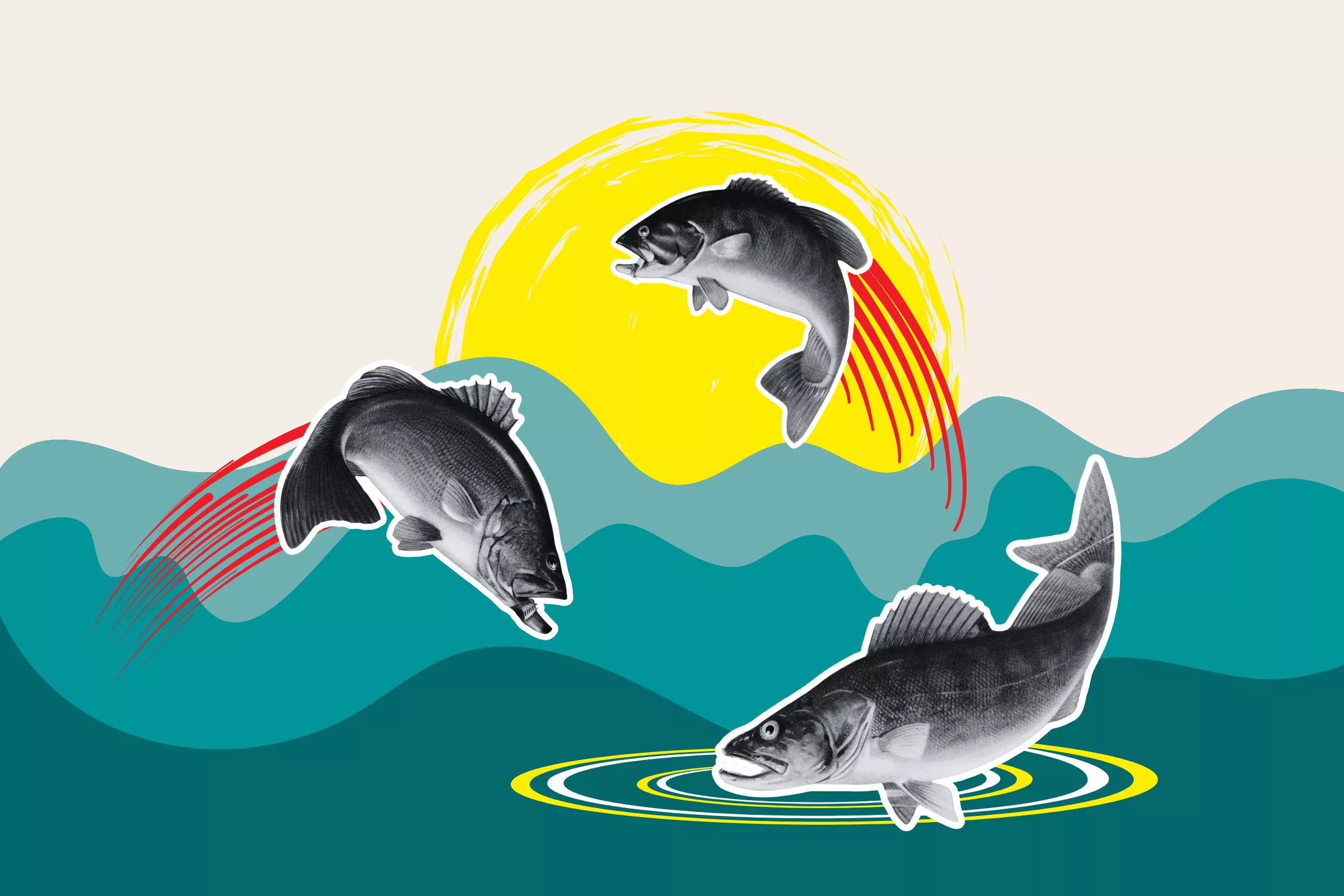US Rivers Are Filling Up With Invasive Fish - Vimarsana News