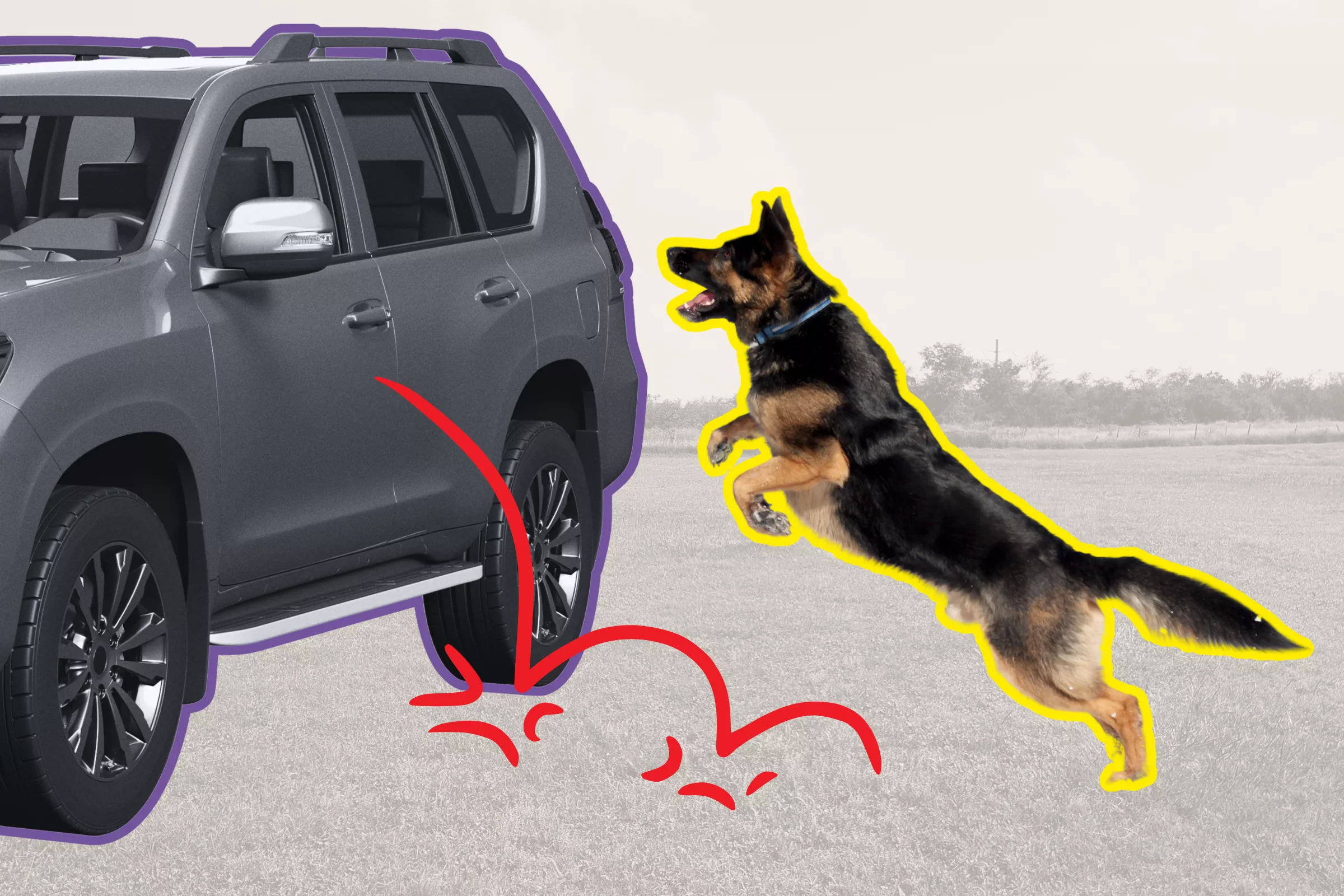 Owner Shares Hilarious 'Athletic' Difference Between Their German Shepherds - Vimarsana News