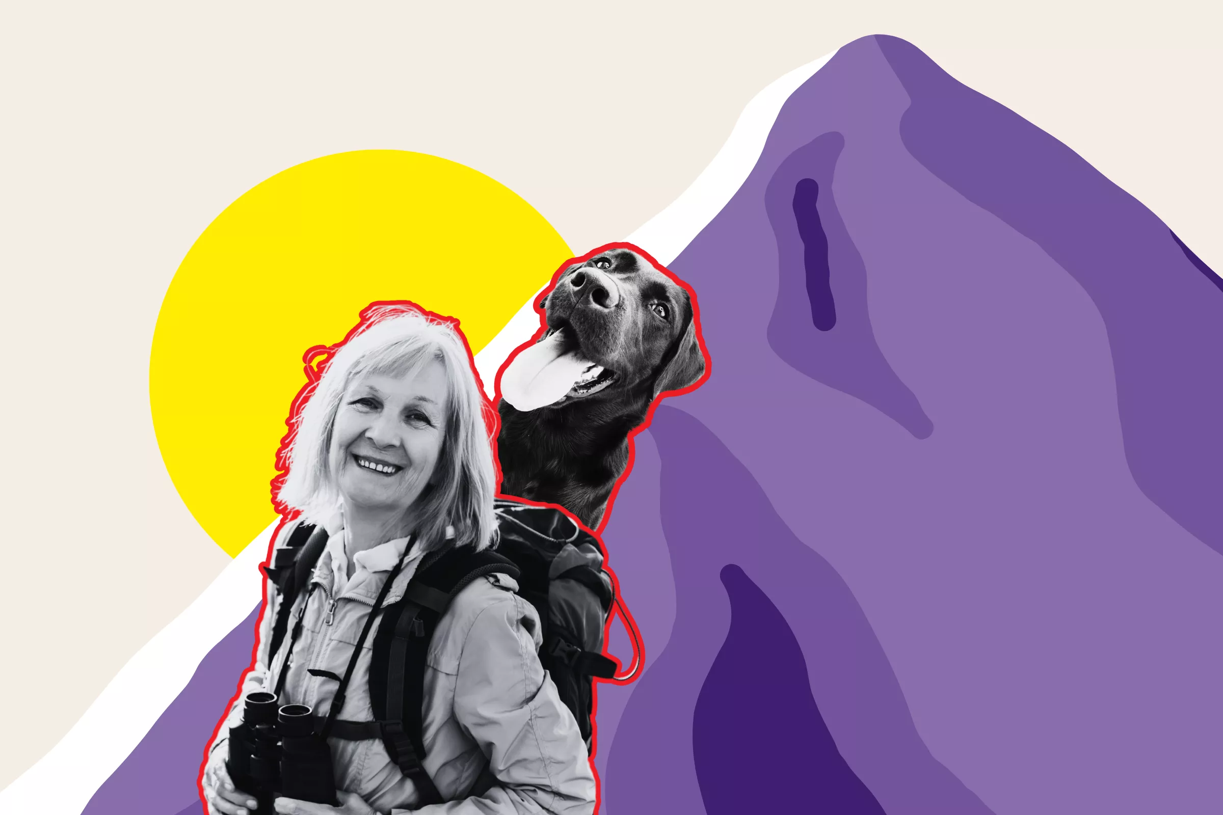 Owner Takes Labrador on Mountain Hike, Things Don't Go To Plan - Vimarsana News